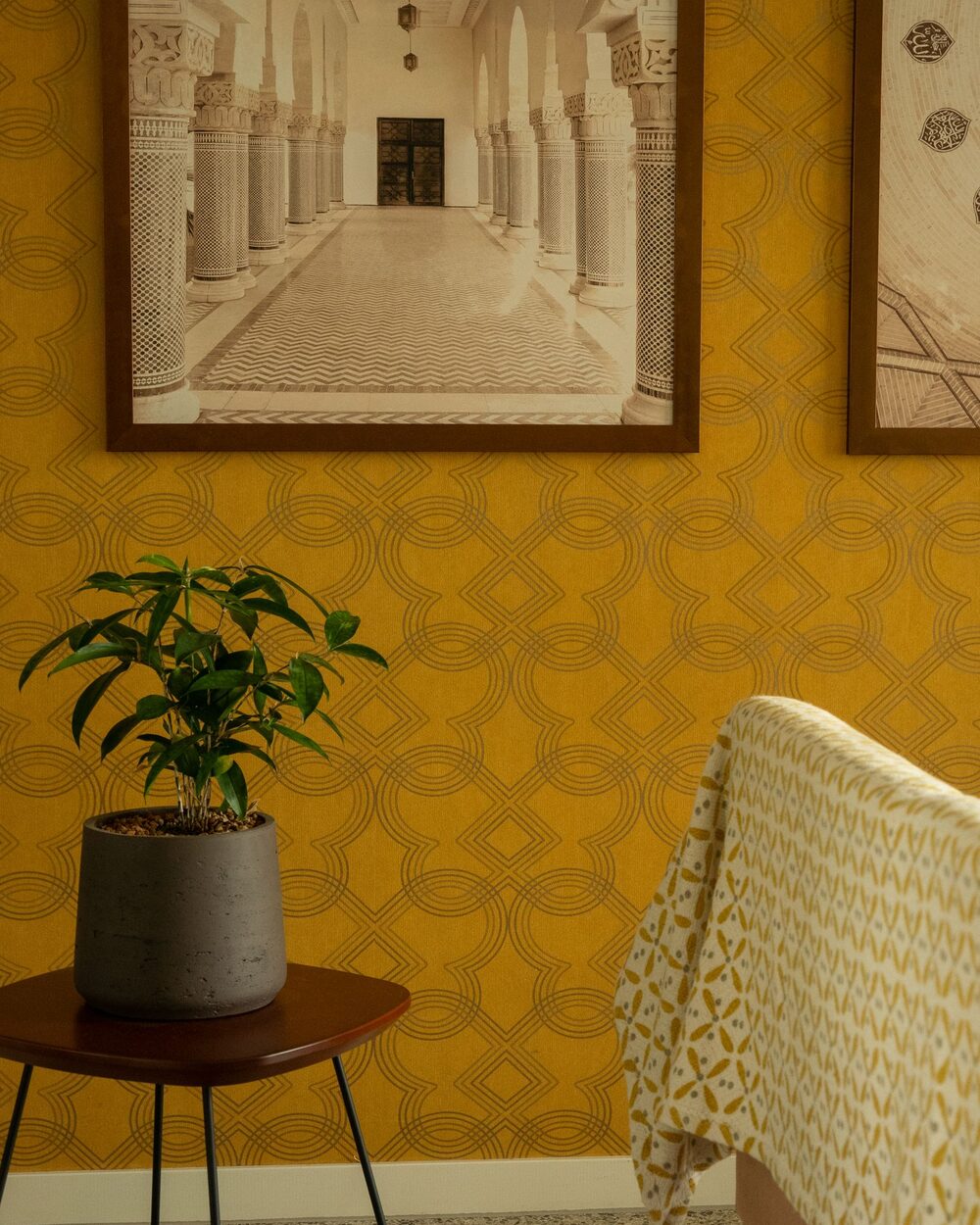 Living space with a warm gold ornamental patterned feature wall and a potted plant